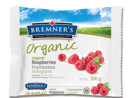 Framboises Biologiques Congelées Supply