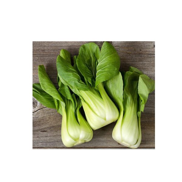 Bok Choi Shanghaï Green Biologique (Semences) Supply