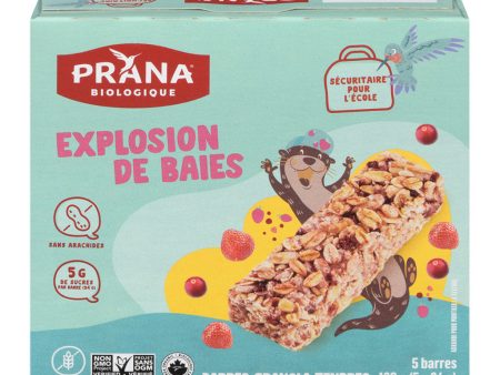 Barres Granola Tendres Explosion de Baies Biologique Online