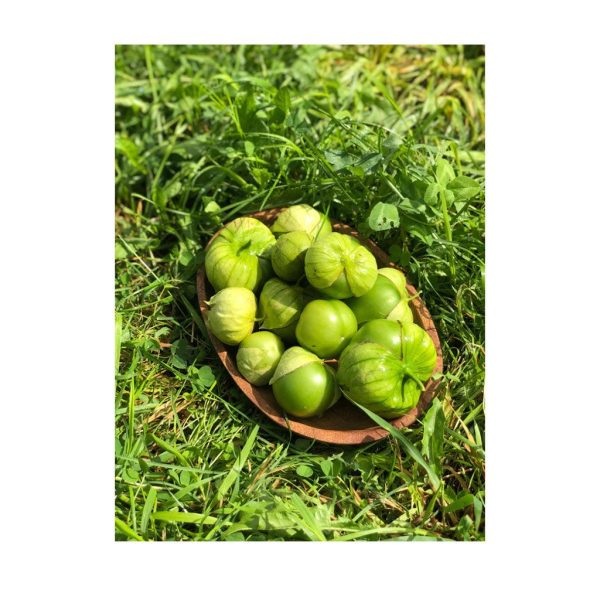 Tomatillo Gigante Verde Biologique (Semences) Sale