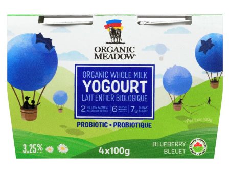 Yogourt Bleuet Lait Entier Biologique Probiotique Supply