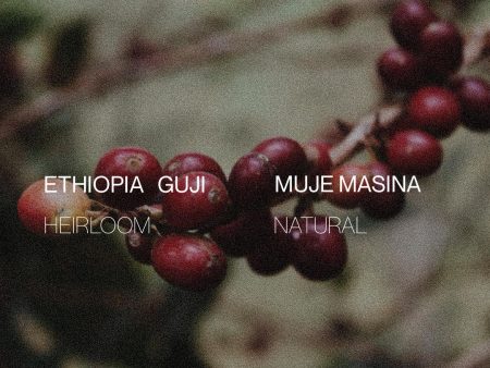 Ethiopia Guji Muje Masina - Natural Online now