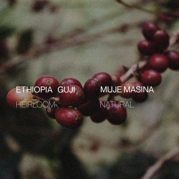 Ethiopia Guji Muje Masina - Natural Online now