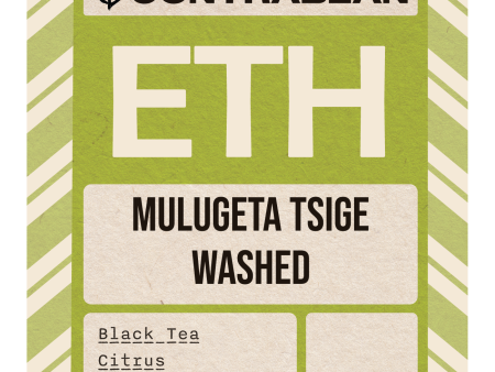 Ethiopia - Mulugeta Tsige - Washed Hot on Sale