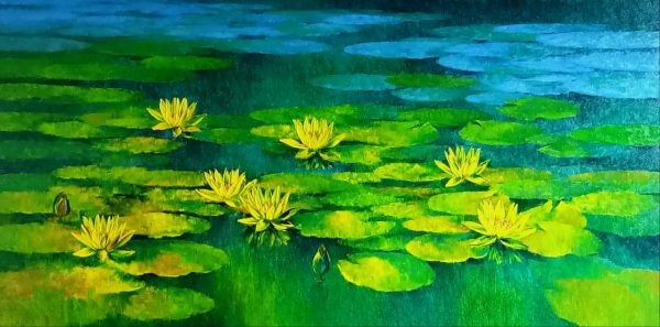 Waterlilies 1 For Cheap