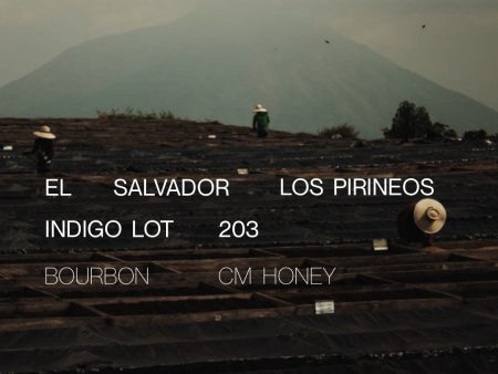 El Salvador Los Pirineos Indigo Lot 203 - CM Honey Online Hot Sale