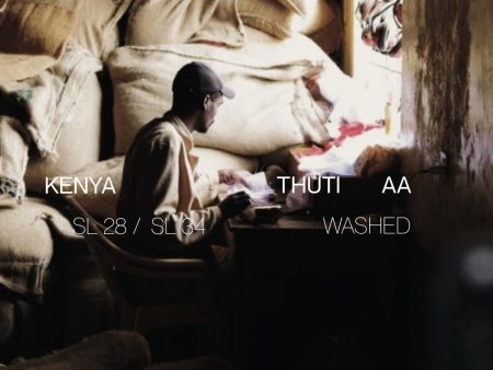 Kenya Thuti AA - Washed Online now