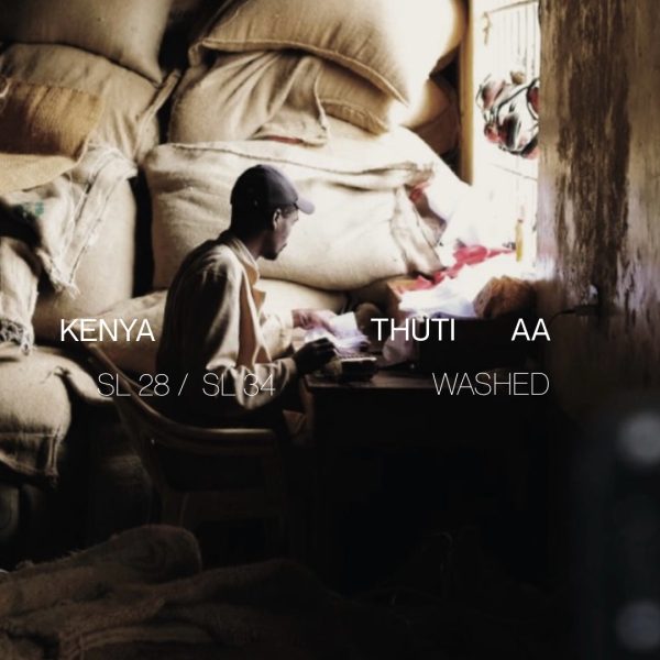 Kenya Thuti AA - Washed Online now