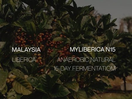 Malaysia Liberica - Anaerobic Natural on Sale