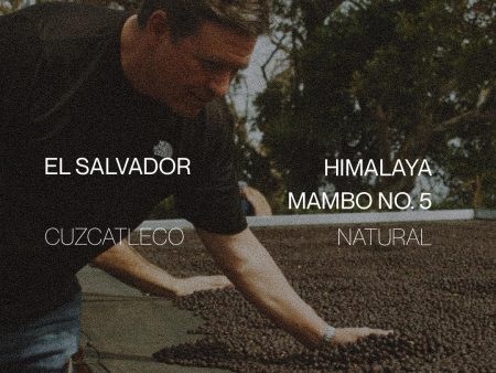 El Salvador Himalaya Mambo No. 5 - Natural Discount