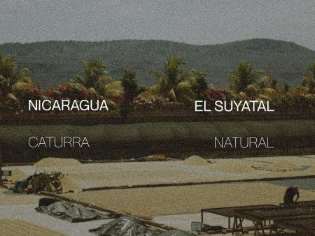 Nicaragua El Suyatal - Natural For Sale