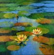 Water lilies 10 on Sale