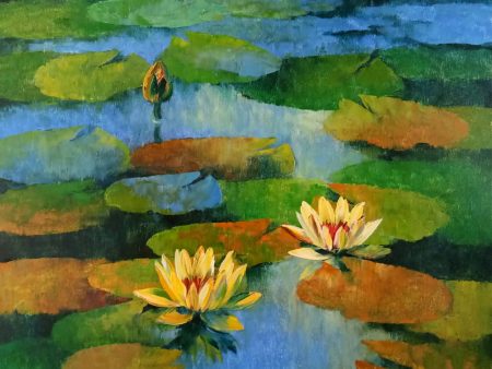 Water lilies 10 on Sale