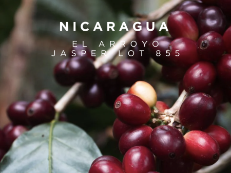 Nicaragua El Arroyo Java Jasper Lot 855 - CM Natural For Cheap