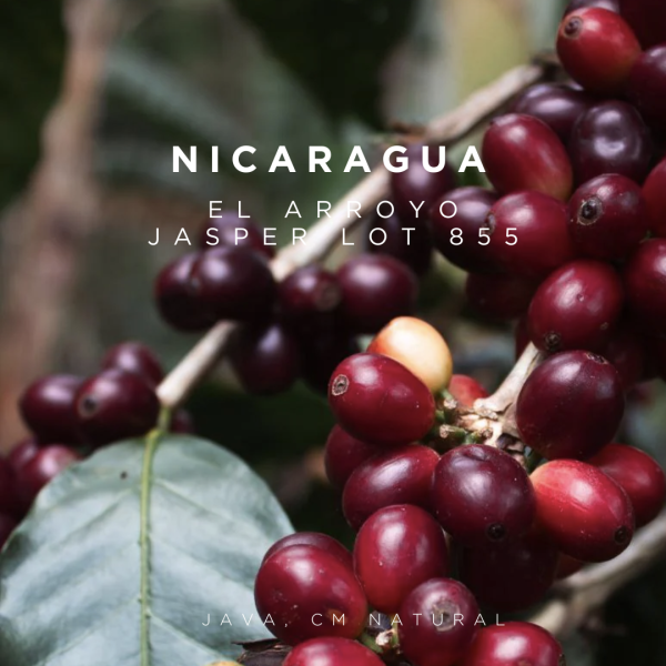 Nicaragua El Arroyo Java Jasper Lot 855 - CM Natural For Cheap