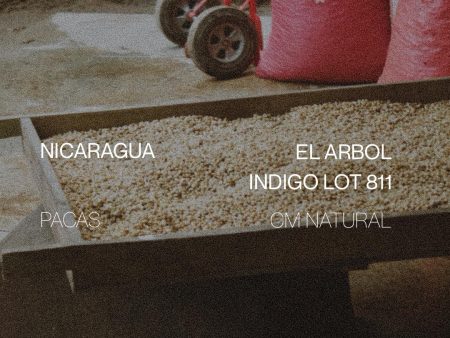 Nicaragua El Arbol Indigo Lot 881 - CM Natural Online now