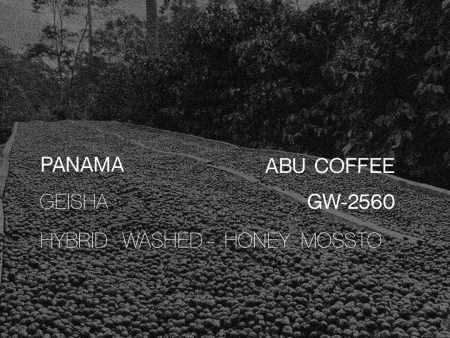 Panama Abu Geisha Lot GW 2560 - Hybrid Washed Cheap