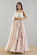 Blush Pink Chanderi Silk Lehenga With Blouse And Oganza Silk Dupatta Cheap