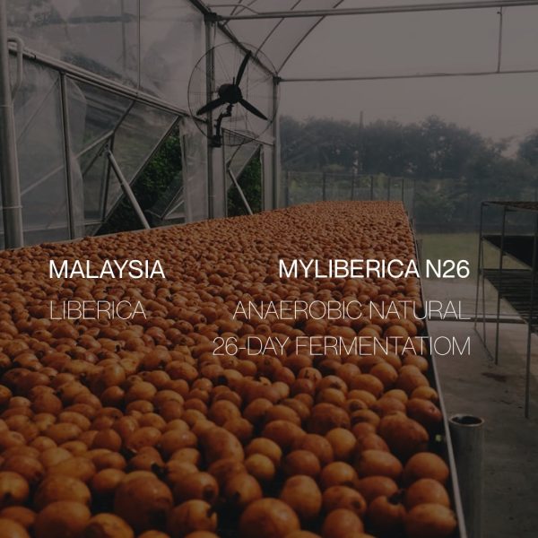 Malaysia Liberica - Anaerobic Natural on Sale