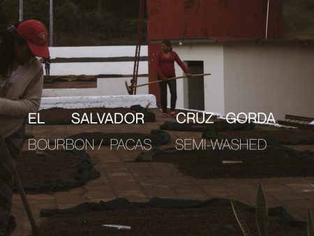 El Salvador Cruz Gorda - Semi-Washed Online now