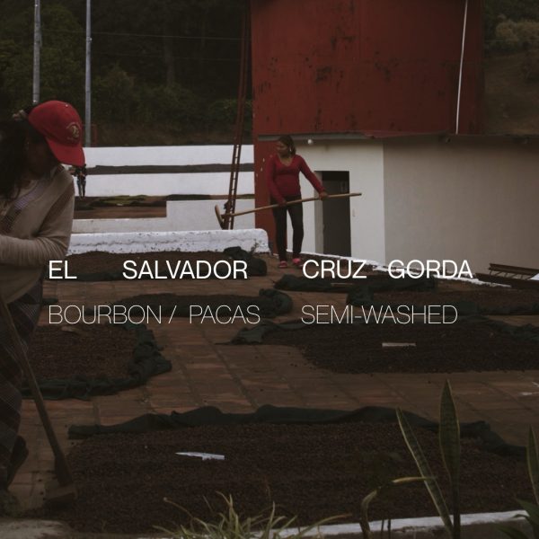 El Salvador Cruz Gorda - Semi-Washed Online now