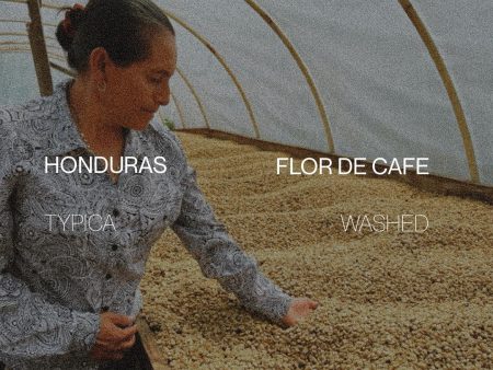 Honduras Flor De Cafe - Washed Hot on Sale