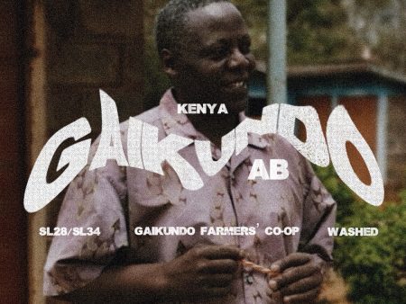 Kenya Gaikundo AB - Washed Cheap