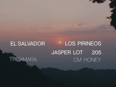 El Salvador Los Pirineos Pacamara Jasper Lot 205 Cheap