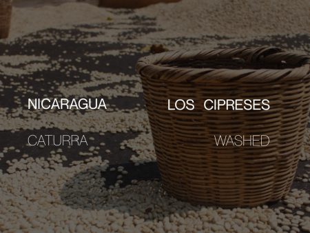 Nicaragua Los Cipreses - Washed Online Sale