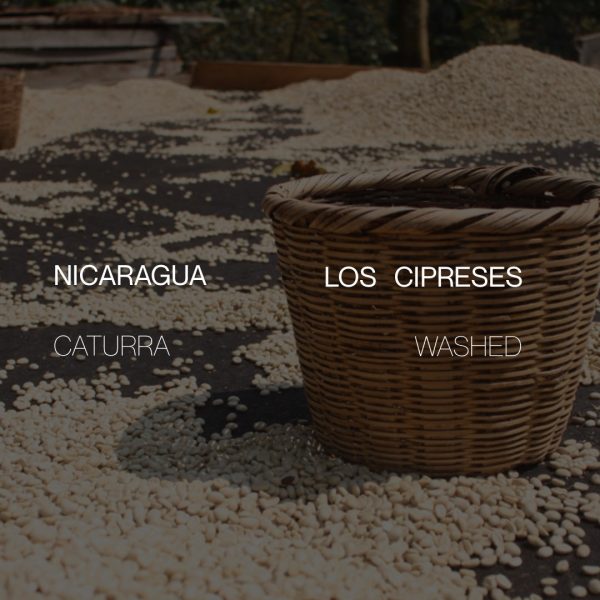 Nicaragua Los Cipreses - Washed Online Sale