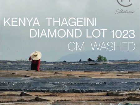 Kenya Thageini Diamond Lot 1023 - CM Washed Discount