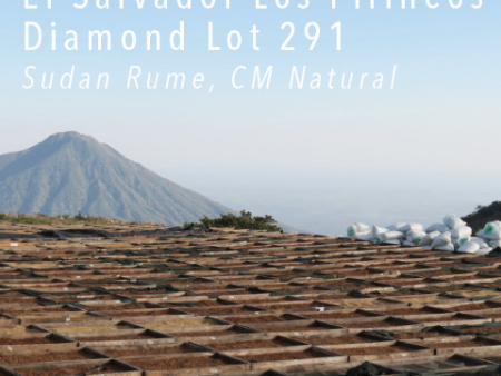 El Salvador Los Pirineos Sudan Rume Diamond Lot 291 Hot on Sale