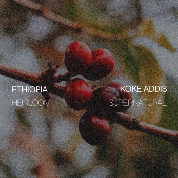 Ethiopia Koke Addis - Supernatural For Cheap