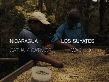 Nicaragua Los Suyates - Washed Supply