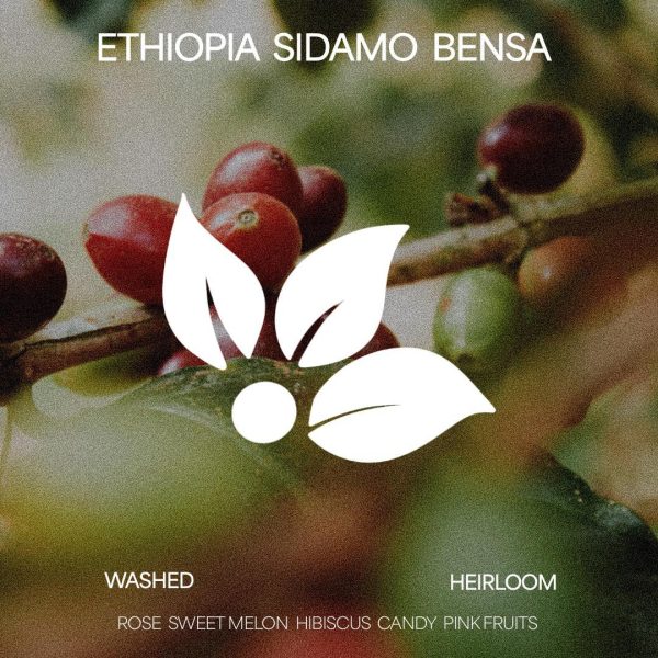 Ethiopia Sidamo Bensa -  Natural Fashion