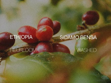 Ethiopia Sidamo Bensa -  Natural Fashion