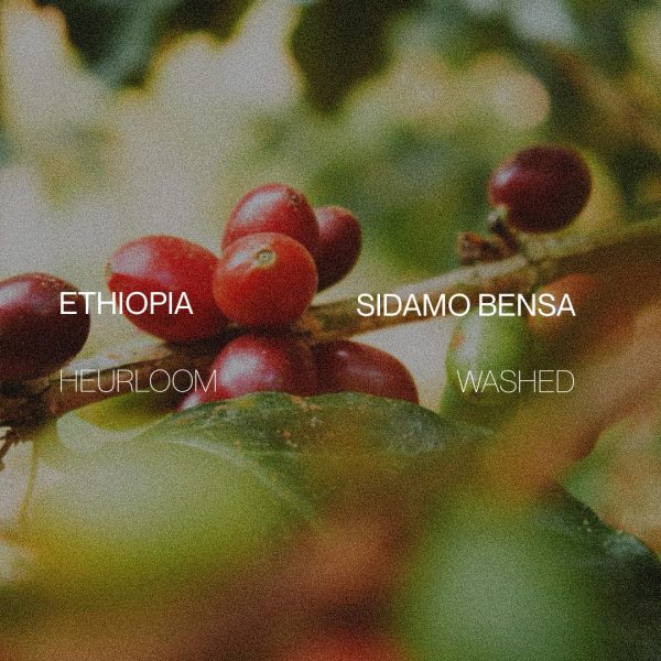 Ethiopia Sidamo Bensa -  Natural Fashion