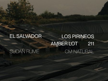 El Salvador Los Pirineos Sudan Rume Amber Lot 211 Hot on Sale