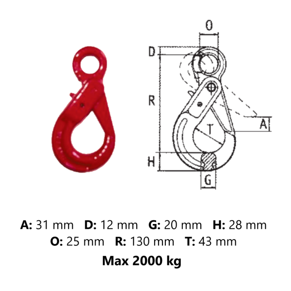 Tirante a catena 8 mm due bracci 4 metri con ganci a forcella autobloccanti e accorciatori ad occhio grado 80 For Cheap