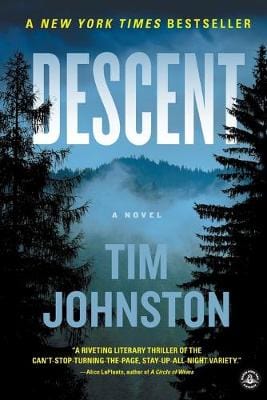 Tim Johnston: Descent [2015] paperback For Sale