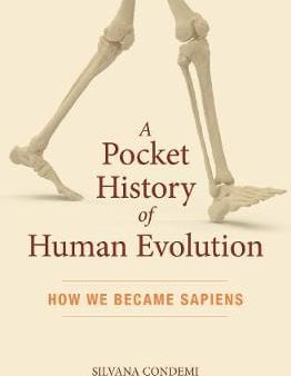 Silvana Condemi: A Pocket History of Human Evolution [2019] paperback Hot on Sale